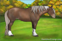 Horse Color:Gray Silver Black Pearl Tobiano 
