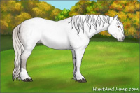 Horse Color:Gray Silver Blue Roan Pearl Tobiano 