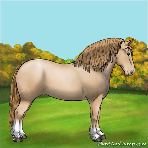 Horse Color:Red Roan Pearl Tobiano Frame 
