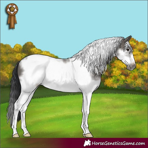 Horse Color:Grullo Sabino Tobiano Frame 