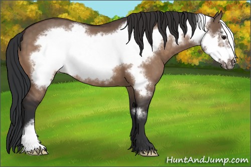 Horse Color:Brown Dun Frame