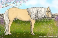 Horse Color:Palomino 