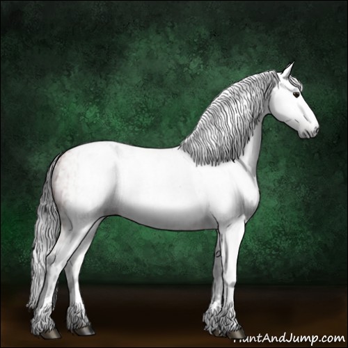 Horse Color:Gray Bay Sabino Rabicano  and Gray Bay Sabino Splash Rabicano 
