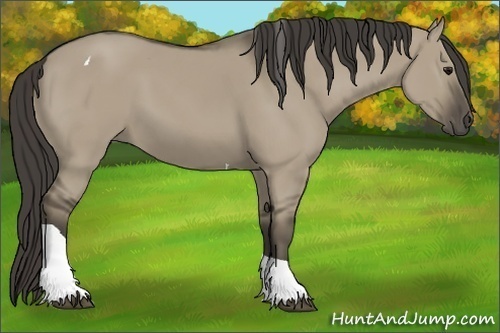 Horse Color:Smoky Grullo Tobiano