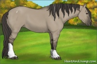Horse Color:Smoky Grullo Tobiano