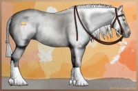 Horse Color:Gray Amber Champagne Tobiano 