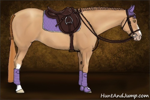 Horse Color:Gold Champagne