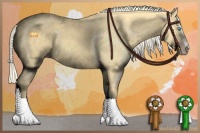 Horse Color:Gold Cream Champagne Sabino