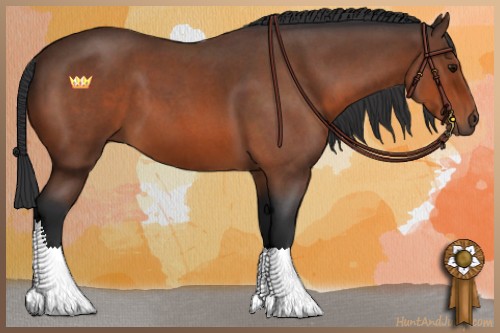 Horse Color:Bay Roan 