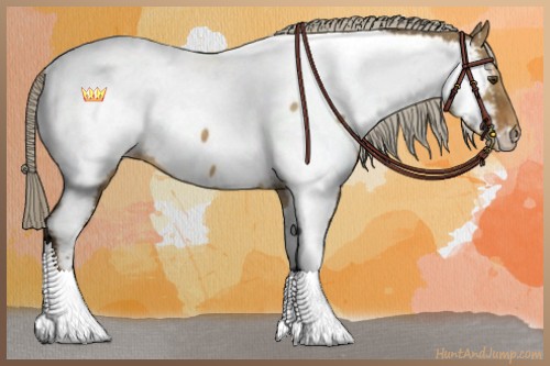 Horse Color:Chocolate Palomino Dun Tobiano Appaloosa Rabicano 