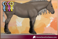 Horse Color:Silver Smoky Black 
