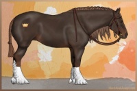 Horse Color:Liver Chestnut 