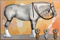 Horse Color:Perlino Blanket