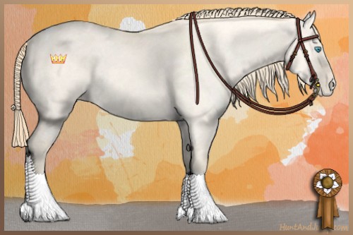 Horse Color:Perlino Dun Tobiano Appaloosa 