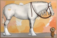 Horse Color:Perlino Dun Tobiano Appaloosa 