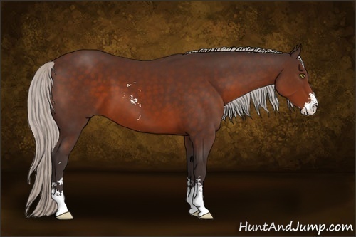 Horse Color:Silver Brown Sabino 