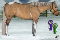 Horse Color:Silver Buckskin Dun Tobiano Rabicano