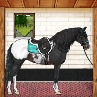 Horse Color:Brown Appaloosa