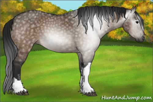 Horse Color:Gray Bay Dun