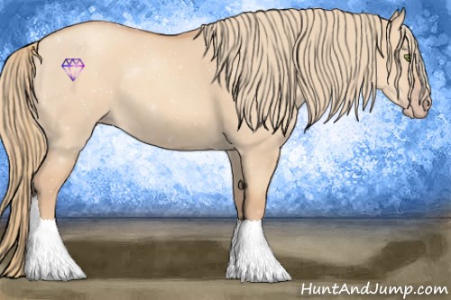 Horse Color:Gold Champagne Dun