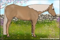Horse Color:Palomino 