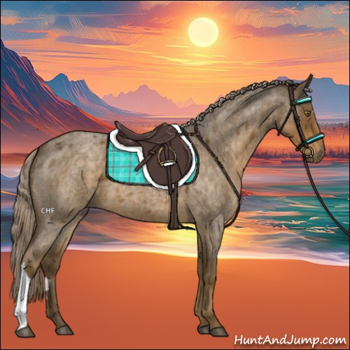 Horse Color:Chocolate Palomino Roan 