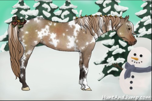 Horse Color:White Spotted Liver Red Dun 