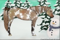 Horse Color:White Spotted Liver Red Dun