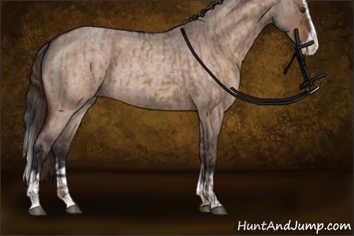 Horse Color:Liver Red Dun Roan Sabino Splash  and Brown Roan Dun Sabino Splash 