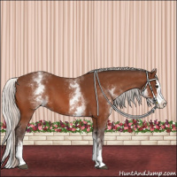 Horse Color:White Spotted Silver Bay Splash 
