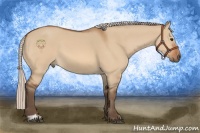 Horse Color:Silver Bay Dun Sabino 