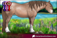 Horse Color:Brown Pearl Mushroom 
