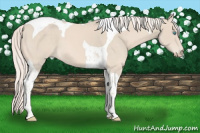 Horse Color:Cremello Mushroom Tobiano
