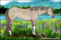 Horse Color:Liver Red Dun Mushroom Tobiano Rabicano