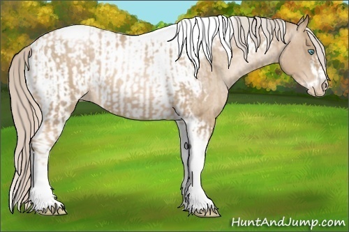 Horse Color:Chocolate Palomino Roan Pearl Tobiano Frame  and Chocolate Palomino Roan Pearl Tobiano Frame Appaloosa 