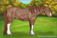 Horse Color:Chestnut Ice 