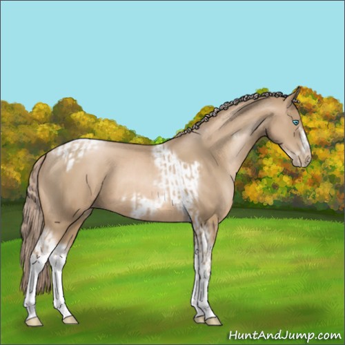 Horse Color:Chocolate Palomino Pearl Tobiano Frame and Chocolate Palomino Pearl Tobiano Frame