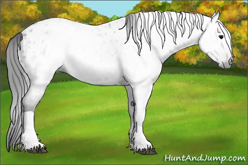 Horse Color:Gray Blue Roan Tobiano Near Leopard 