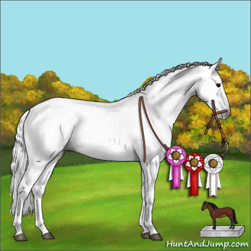 Horse Color:Gray White Spotted Bay