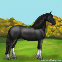 Horse Color:Gray Smoky Black Tobiano