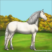 Horse Color:Silver Buckskin Ice Pearl Dun