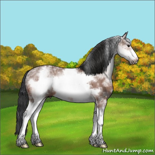 Horse Color:White Spotted Bay Ice Frame 