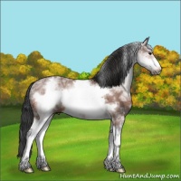Horse Color:White Spotted Bay Ice Frame 