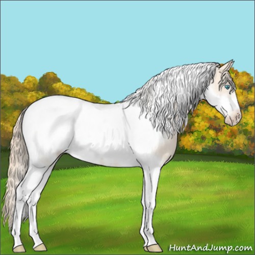 Horse Color:Perlino Tobiano Frame 