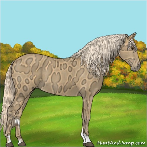Horse Color:Palomino Ice 