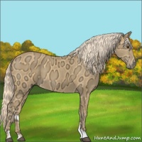 Horse Color:Palomino Ice 
