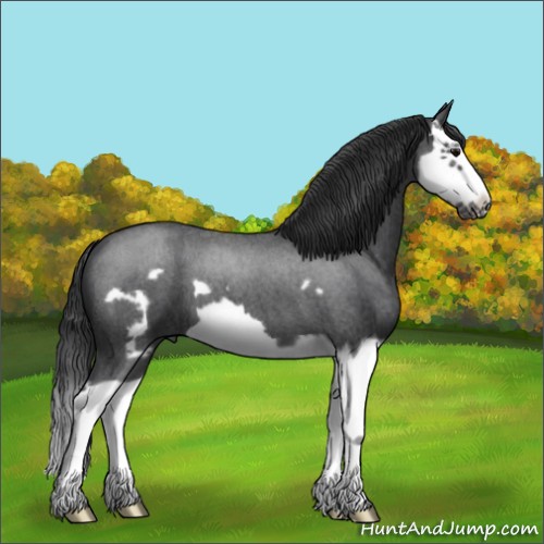 Horse Color:Blue Roan Splash Frame 