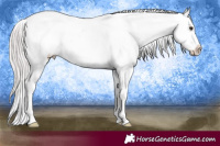 Horse Color:Platinum White Spotted Chocolate Palomino Varnish 