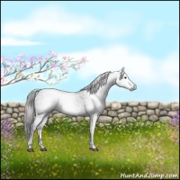 Horse Color:Gray Liver Chestnut Ice