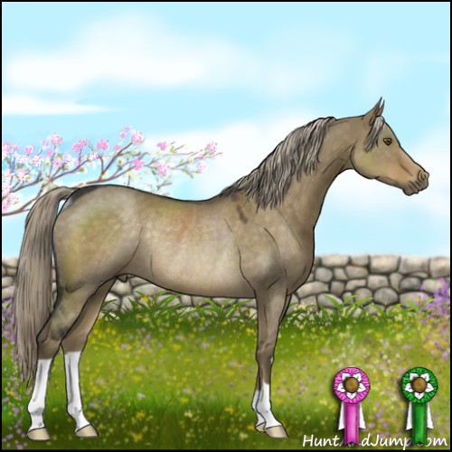 Horse Color:Chocolate Palomino Dun Rabicano
